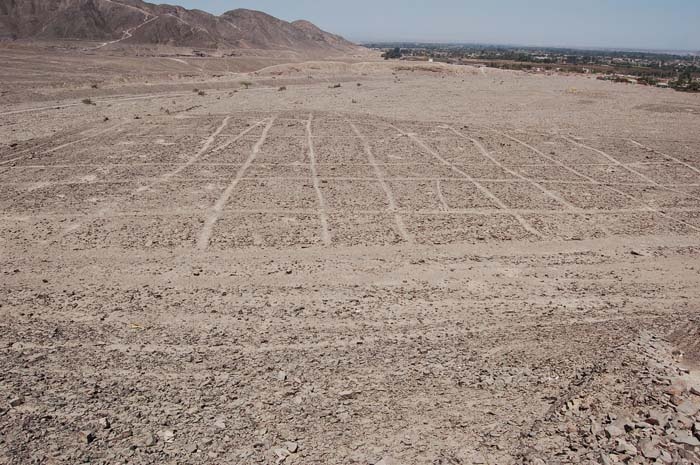 Иллюстрация к книге — Наска. Гигантские рисунки на полях [c12.jpg]