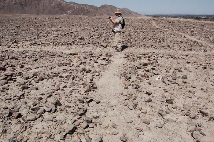 Иллюстрация к книге — Наска. Гигантские рисунки на полях [c15.jpg]
