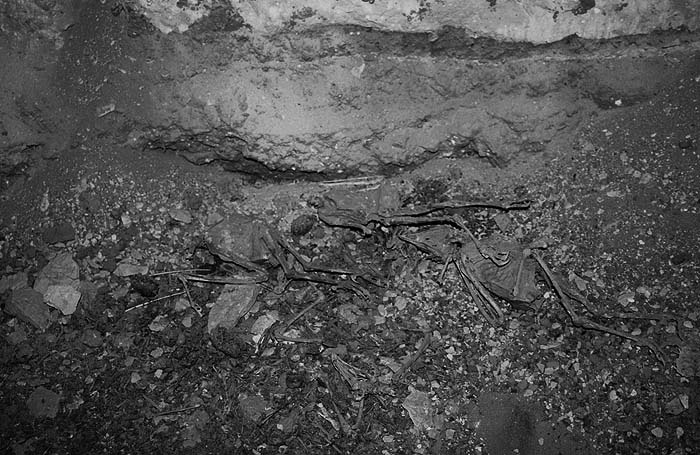 Иллюстрация к книге — Пирамиды. Загадки строительства и назначение [any2fbimgloader102.jpg]