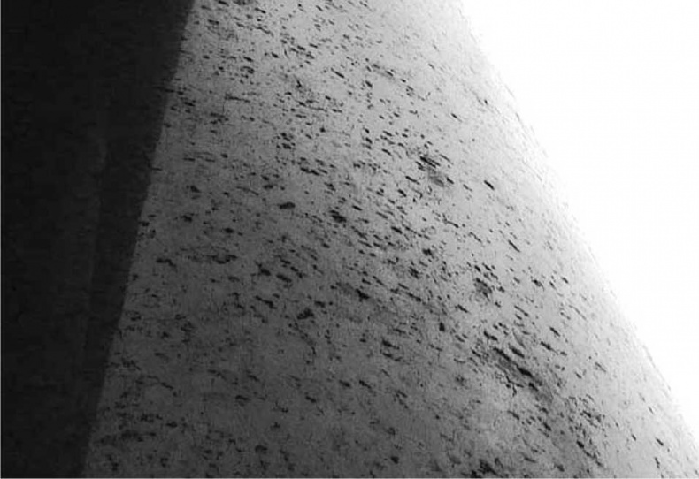 Иллюстрация к книге — Древние боги. Кто они? [i_017.jpg]