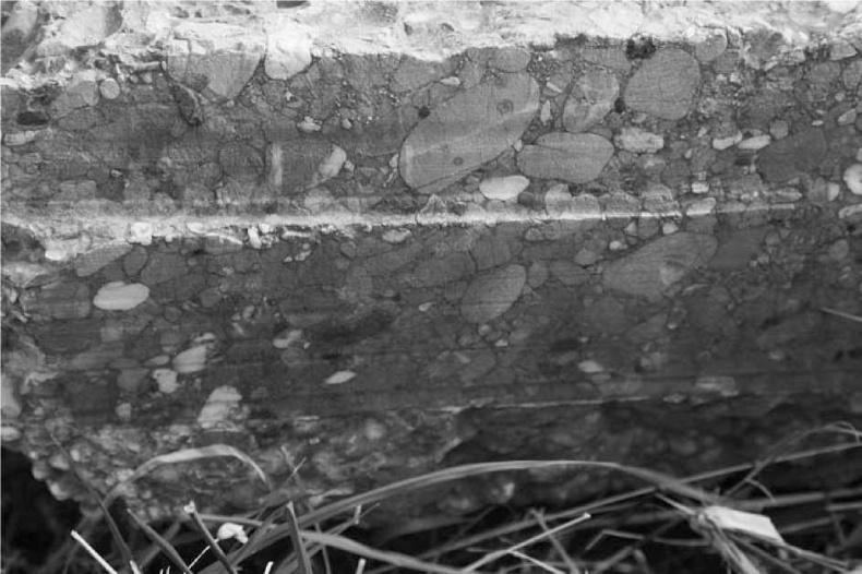 Иллюстрация к книге — Древние боги. Кто они? [i_028.jpg]