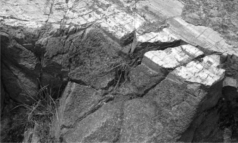 Иллюстрация к книге — Древние боги. Кто они? [i_042.jpg]