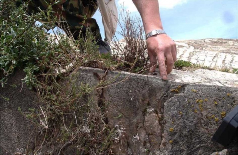 Иллюстрация к книге — Древние боги. Кто они? [i_043.jpg]