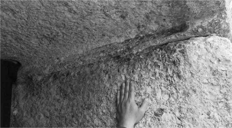 Иллюстрация к книге — Древние боги. Кто они? [i_047.jpg]