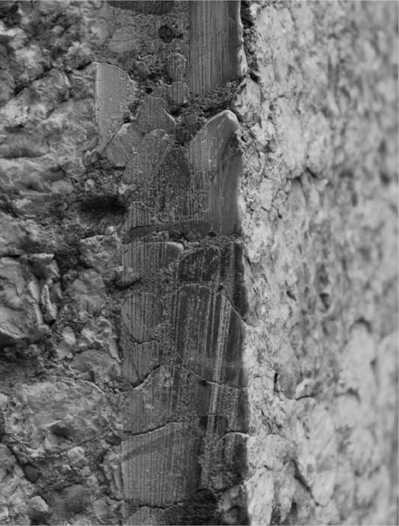 Иллюстрация к книге — Древние боги. Кто они? [i_048.jpg]