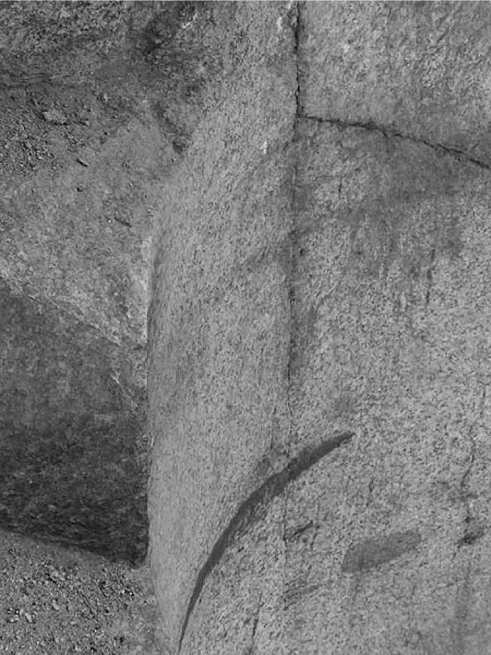 Иллюстрация к книге — Древние боги. Кто они? [i_062.jpg]