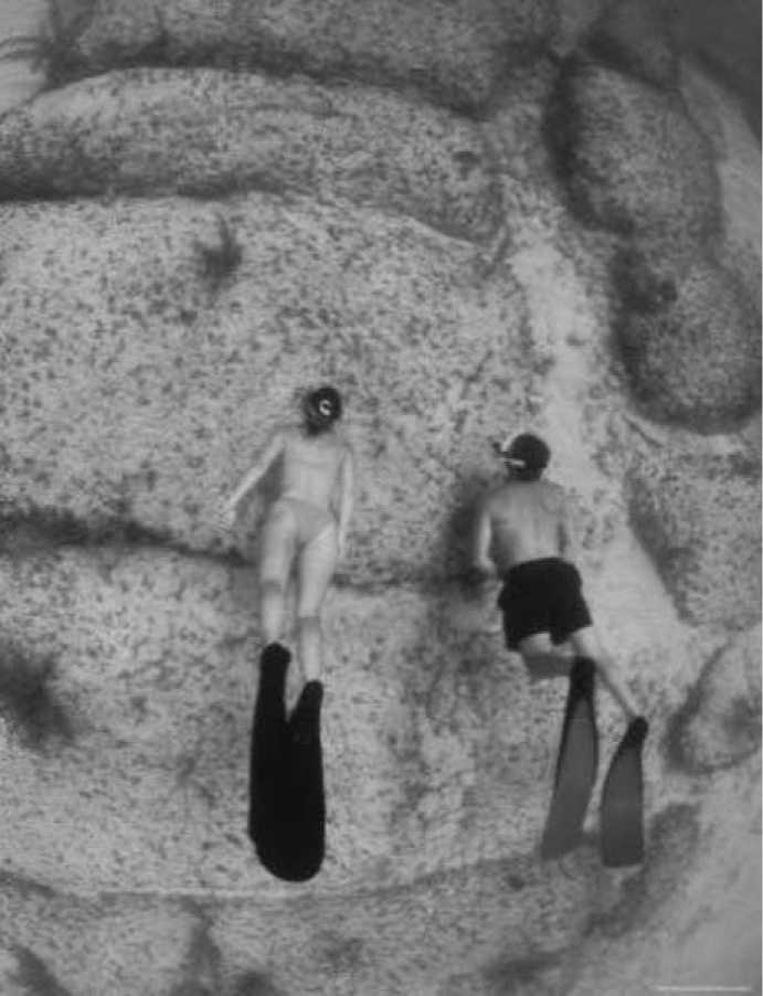 Иллюстрация к книге — Древние боги. Кто они? [i_075.jpg]