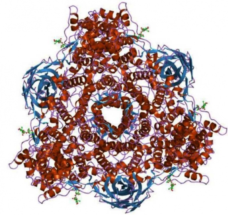 Иллюстрация к книге — Древние боги. Кто они? [i_089.jpg]