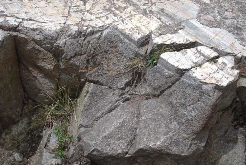 Иллюстрация к книге — Обитаемый остров Земля [i_076.jpg]