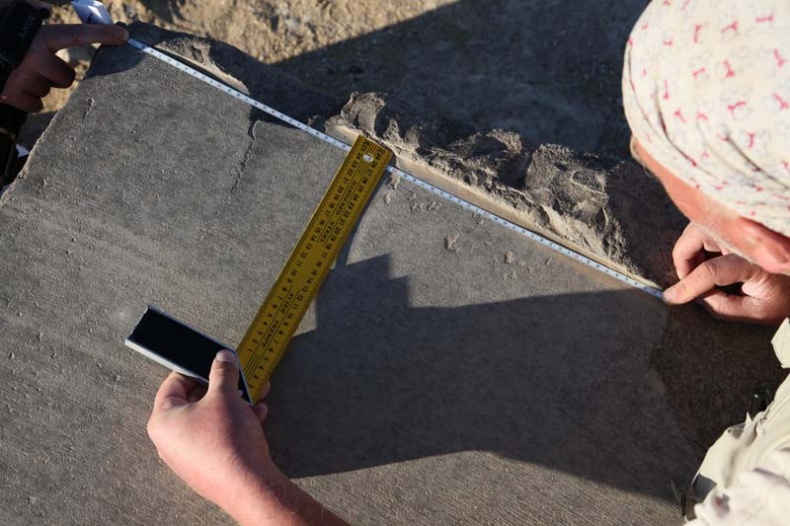 Иллюстрация к книге — Обитаемый остров Земля [i_083.jpg]