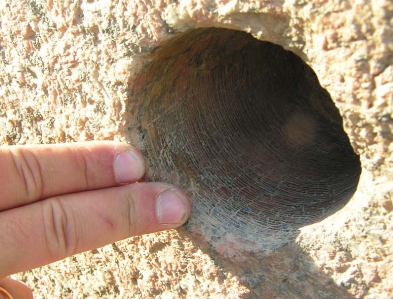 Иллюстрация к книге — Обитаемый остров Земля [i_086.jpg]