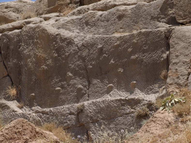 Иллюстрация к книге — Обитаемый остров Земля [i_100.jpg]