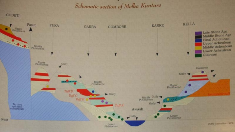 Иллюстрация к книге — Обитаемый остров Земля [i_155.jpg]