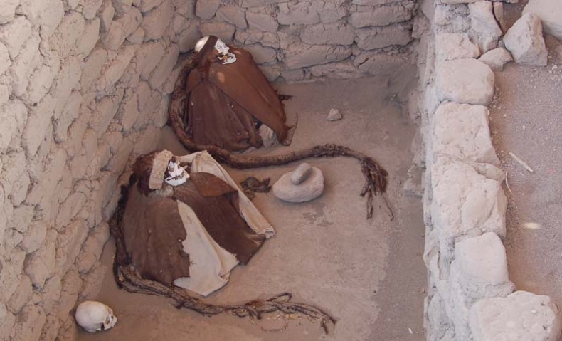 Иллюстрация к книге — Обитаемый остров Земля [i_156.jpg]