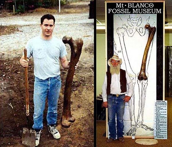 Иллюстрация к книге — Обитаемый остров Земля [i_164.jpg]