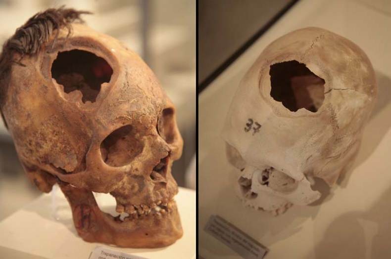 Иллюстрация к книге — Обитаемый остров Земля [i_167.jpg]