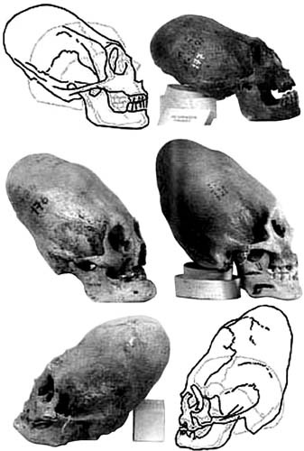 Иллюстрация к книге — Обитаемый остров Земля [i_170.jpg]
