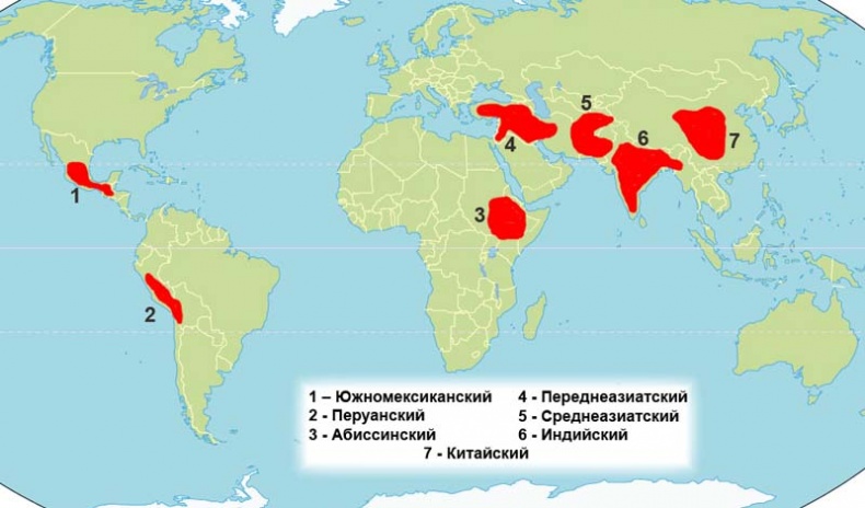 Иллюстрация к книге — Обитаемый остров Земля [i_176.jpg]