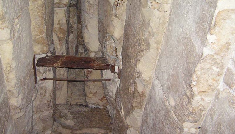 Иллюстрация к книге — Обитаемый остров Земля [i_247.jpg]