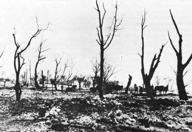 Иллюстрация к книге — Демянское побоище. "Упущенный триумф Сталина" или "пиррова победа Гитлера"? [autogen_ebook_id39.jpg]