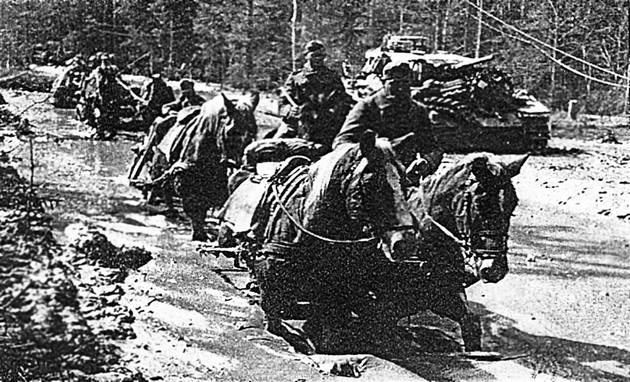 Иллюстрация к книге — Демянское побоище. &quot;Упущенный триумф Сталина&quot; или &quot;пиррова победа Гитлера&quot;? [autogen_ebook_id6.jpg]