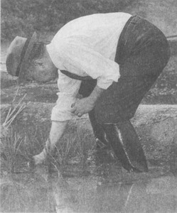 Иллюстрация к книге — Династия Ямато [photo25.jpg]