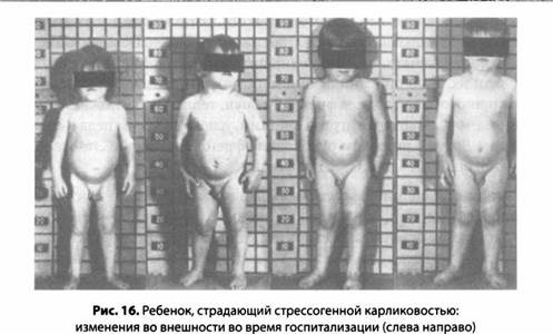 Иллюстрация к книге — Психология стресса [_17.jpg]