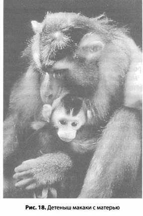 Иллюстрация к книге — Психология стресса [_19.jpg]