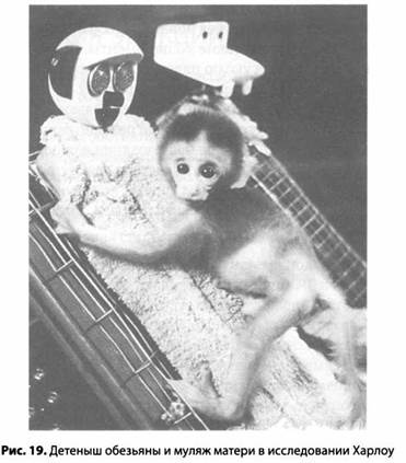 Иллюстрация к книге — Психология стресса [_20.jpg]