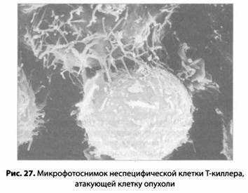 Иллюстрация к книге — Психология стресса [_28.jpg]