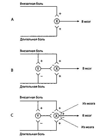 Иллюстрация к книге — Психология стресса [_35.jpg]