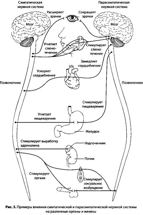 Иллюстрация к книге — Психология стресса [_4.jpg]