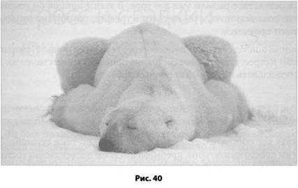 Иллюстрация к книге — Психология стресса [_42.jpg]