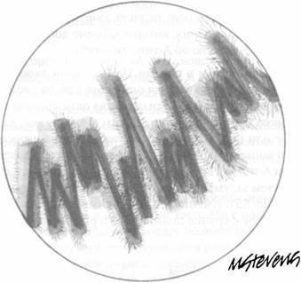 Иллюстрация к книге — Психология стресса [_56.jpg]