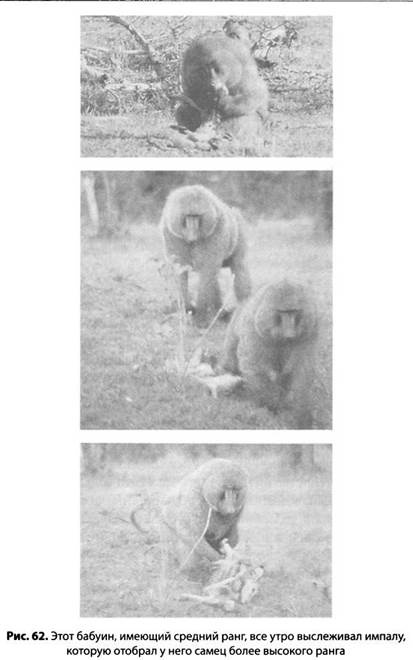 Иллюстрация к книге — Психология стресса [_64.jpg]