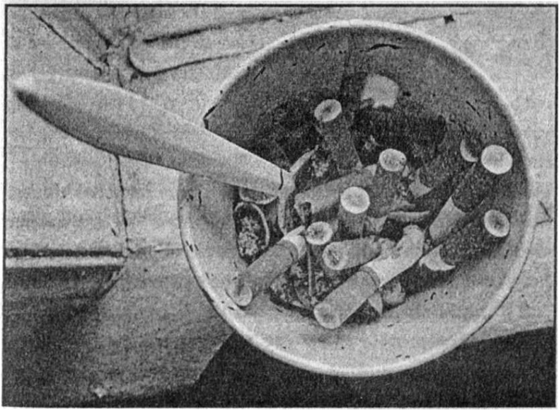 Иллюстрация к книге — Панкшуй [i_010.jpg]