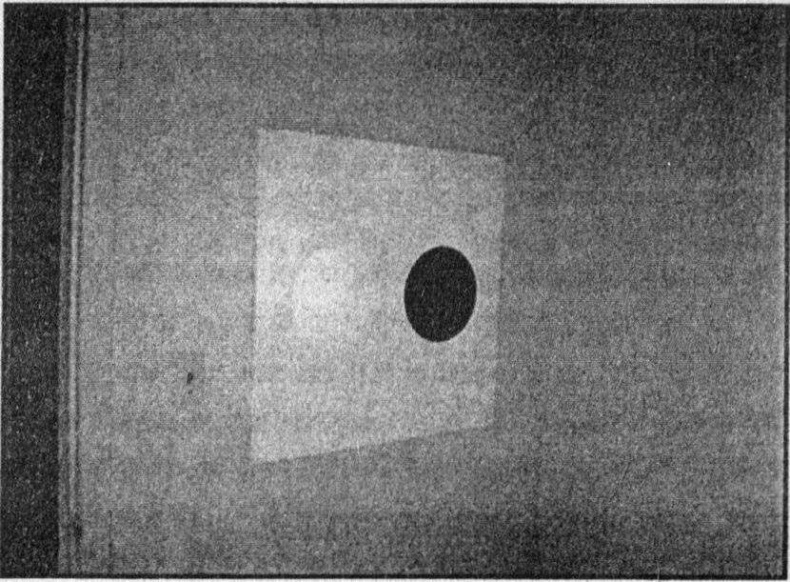 Иллюстрация к книге — Панкшуй [i_014.jpg]