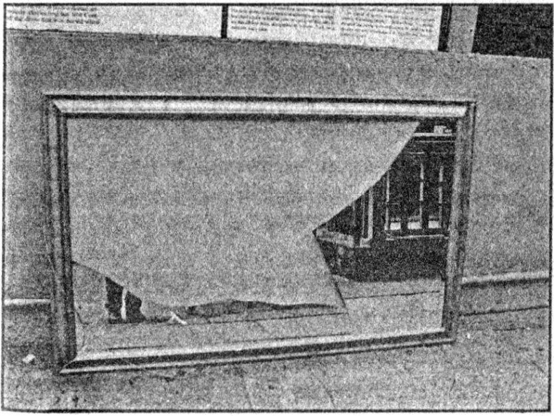 Иллюстрация к книге — Панкшуй [i_015.jpg]