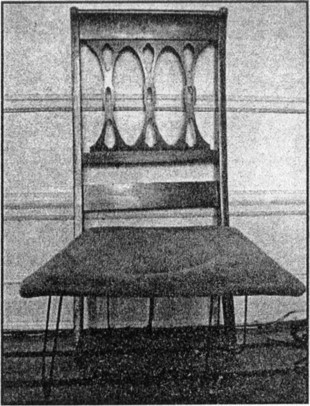 Иллюстрация к книге — Панкшуй [i_034.jpg]