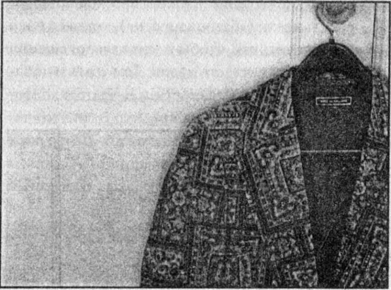 Иллюстрация к книге — Панкшуй [i_040.jpg]