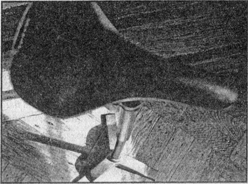 Иллюстрация к книге — Панкшуй [i_041.jpg]