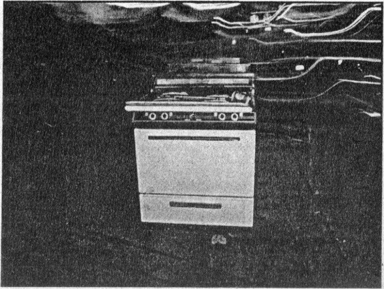 Иллюстрация к книге — Панкшуй [i_045.jpg]