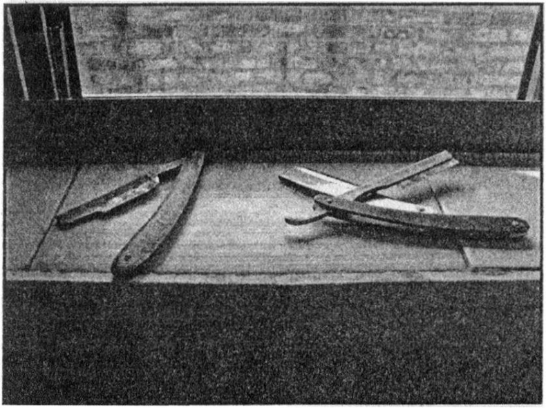 Иллюстрация к книге — Панкшуй [i_053.jpg]