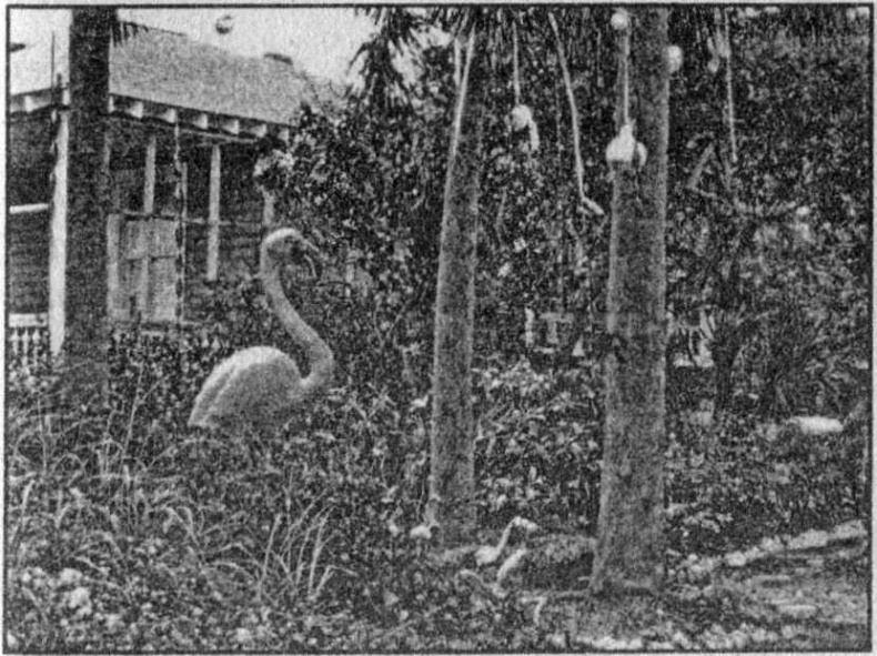 Иллюстрация к книге — Панкшуй [i_071.jpg]