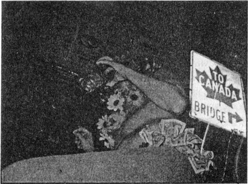 Иллюстрация к книге — Панкшуй [i_074.jpg]