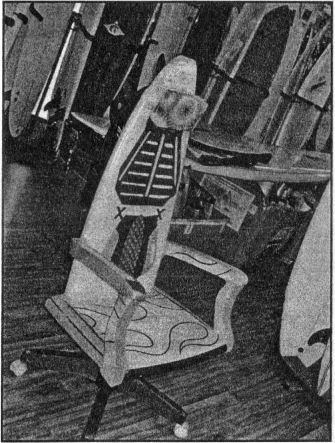 Иллюстрация к книге — Панкшуй [i_086.jpg]