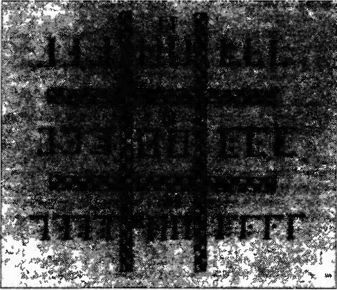 Иллюстрация к книге — История шифровального дела в России [i_009.jpg]