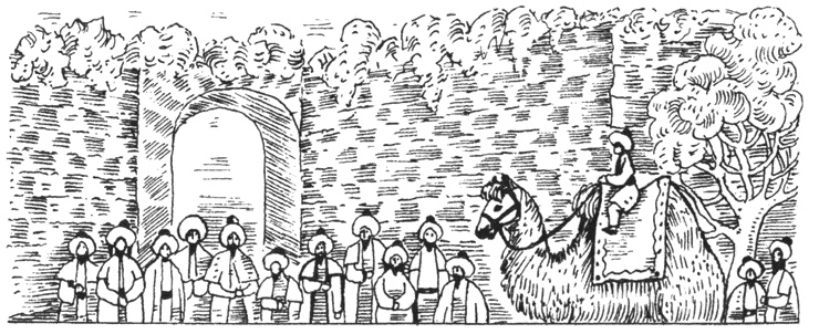 Иллюстрация к книге — Крымское ханство в XVIII веке [i_012.jpg]