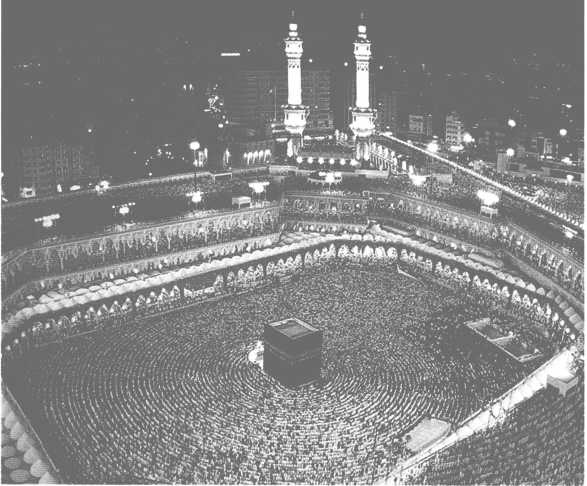 Иллюстрация к книге — Повседневная жизнь паломников в Мекке [i_011.jpg]