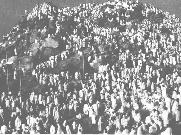 Иллюстрация к книге — Повседневная жизнь паломников в Мекке [i_021.jpg]